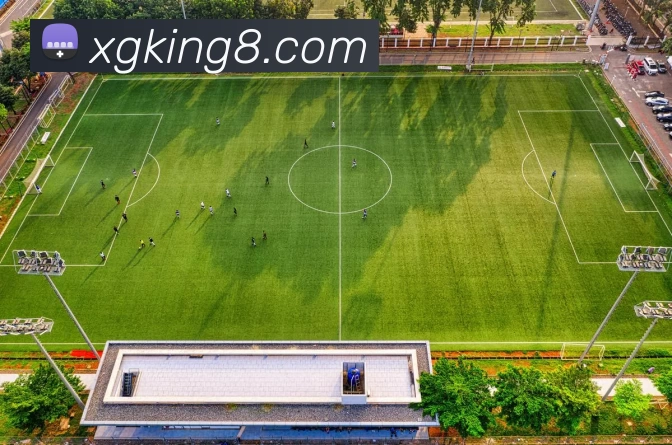 新贵游戏官网APP 体育赛事宣传图